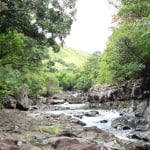 Conservation in FIji