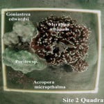 Marine monitoring quadrat, FIji